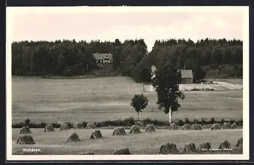 AK Wallasen, Felder am Waldrand