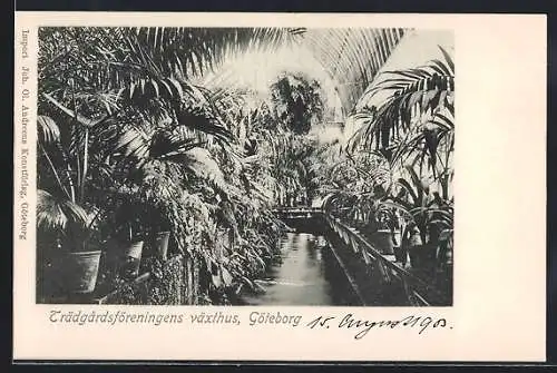 AK Göteborg, Trädgardsföreningens växthus