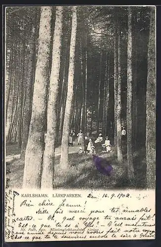 AK Karlshamn, Lärkparken