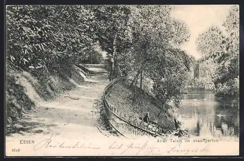 AK Essen, Alter Teich im Stadtgarten
