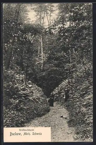 AK Buckow /Märk. Schweiz, Wolfsschlucht mit Spaziergängern