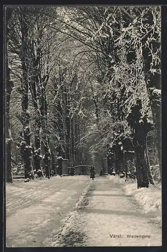 AK Varel / Oldenburg, Waldeingang mit Passanten