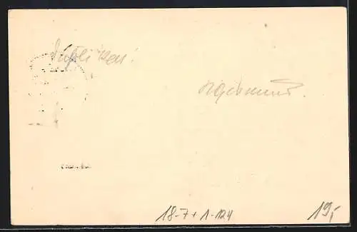 AK Ernst August Herzog von Braunschweig und Gemahlin Vicotria Luise, Ganzsache