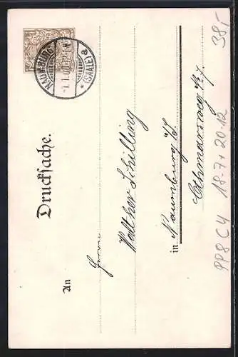 AK Zur Erinnerung an die Jahrhundertwende, Kinder mit Jahreszahl 1900, Ganzsache PP8 C4