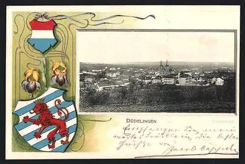 AK Düdelingen, Totalansicht vom Feld aus, Wappen im Passepartout