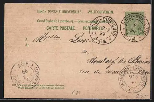 Lithographie Esch an der Sauer, Hotel des Ardennes, Hotel de la Sûre, Ortsansicht