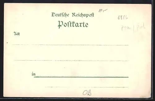 Lithographie Zielenzig, Kaiserdenkmal, Post und Promenade