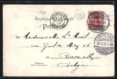 Lithographie Oppenau, Hotel zum Goldenen Adler v. M. Roth an der Hauptstrasse, Wasserfall Allerheiligen, Kais. Postamt