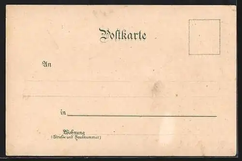 Lithographie Zavelstein, Gasthof-Pension zum Lamm, Ruine, Totalansicht