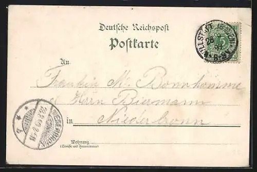 Lithographie Willstätt, 3 verschiedene Gasthäuser, Schulhaus, Rathaus, Kriegerdenkmal, Trachten