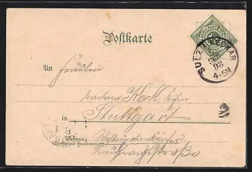 Lithographie Sulz a. N., Gasthof zum Waldhorn, Turnhalle m. Denkmal, Neckarbrücke