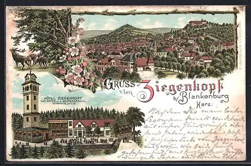Lithographie Blankenburg / Harz, Gasthaus, Hotel