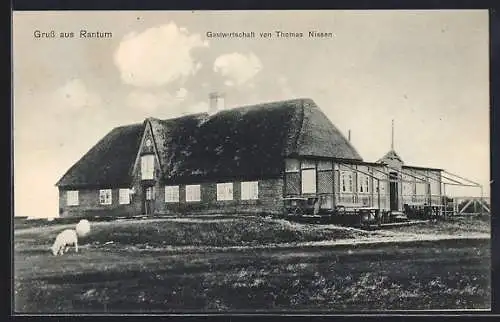 AK Rantum, Gasthaus Thomas Nissen, Panorama mit Terrasse u. Schafen