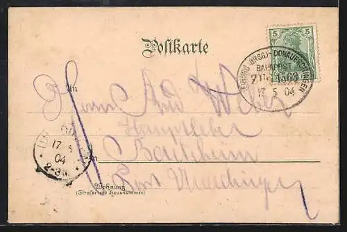 Lithographie Steinach /Kinzigthal, Gasthaus zum Adler, Ortsansicht