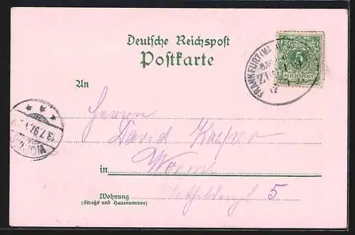 Lithographie Michelstadt, Kaltwasserheil-Anstalt, Thorbogen, Marktplatz, Totalansicht