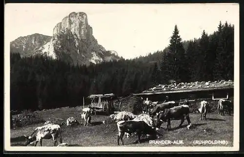 AK Ruhpolding, Brander-Alm mit Kühen und Bauer