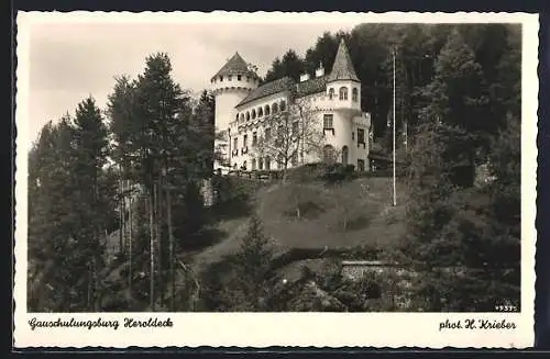 AK Millstatt, Schloss Heroldeck