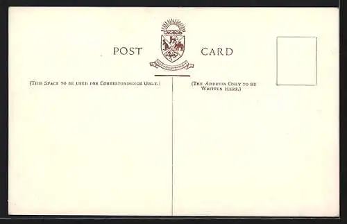 AK Passagierschiff P. & O. SS Viceroy of India, India Mail and Passenger Service