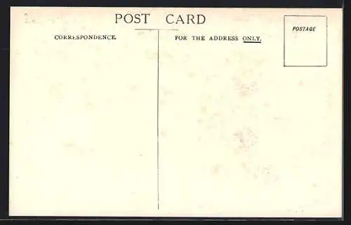 Künstler-AK Passagierschiff S.S. Arabic, White Star Line