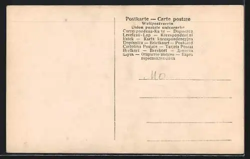 AK Istanbul, Bosphore, Tours de Roumeli-Hissar