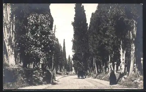 AK Constantinople, Cimetiere turc a Scutari