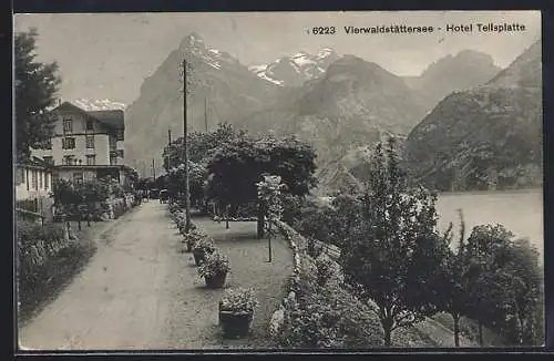 AK Sisikon /Vierwaldstättersee, Hotel Tellsplatte