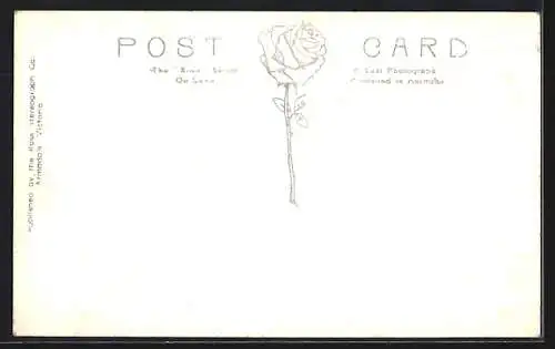 AK Melbourne, St. Kilda Road