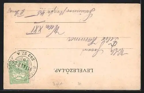 AK Nyulas, Totalansicht übers Feld