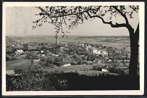 AK Jennersdorf /Steiermark, Totalansicht vom Berg aus