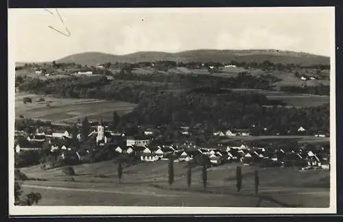 AK St. Michael /Burgenland, Totalansicht vom Berg aus