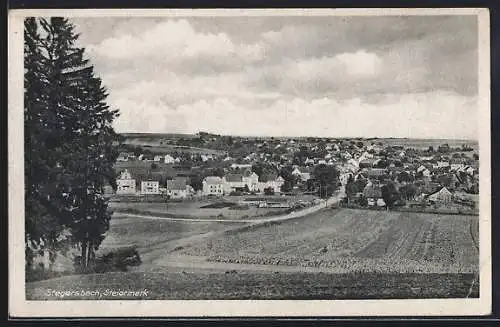 AK Stegersbach /Steiermark, Totalansicht übers Feld
