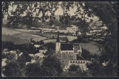 AK Waldhausen /Ob.-Oe., Ortsansicht vom Berg aus