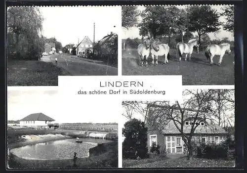 AK Lindern / Oldenburg, Ortsansichten mit Strassenpartie, Teich und Pferden