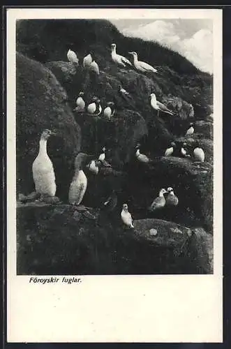 AK Färöer, Föroyskir fuglar