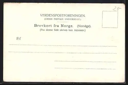 AK Balholm i. Sogn, Ortsansicht mit Wasserpartie