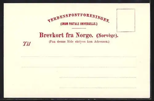 AK Drammen, Ortsansicht mit Brücke und Güterzug