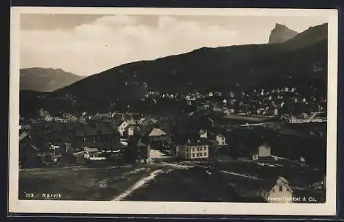 AK Narvik, Sicht auf den Ort mit Bergen im Hintergrund