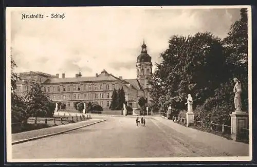 AK Neustrelitz, Blick auf das Schloss mit Strassenpartie