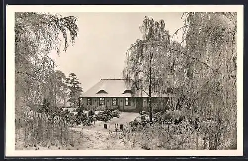 AK Berlin, Cafe Wannsee-Terrassen, Ansicht im Schnee