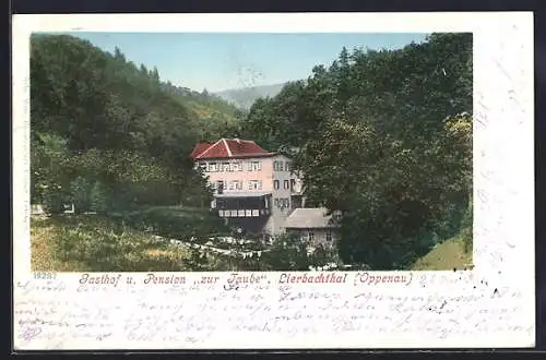 AK Oppenau, Gasthof und Pension zur Taube, Lierbachtal