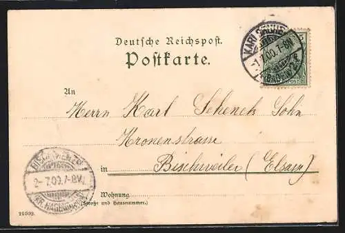 Künstler-AK Heinrich Kley: Karlsruhe, Blick zum Erbgrossherzogl. Palais