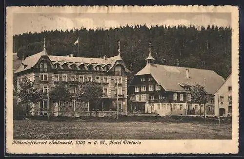 AK Schönwald / Baden, Hotel Viktoria mit Berg im Hintergrund
