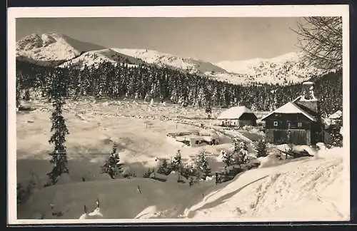 AK Judenburg, Winterpartie an der Schmelz