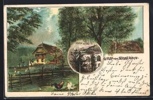 Lithographie Semmering, Kalte Rinne, der Steinbauer in Mürzzuschlag