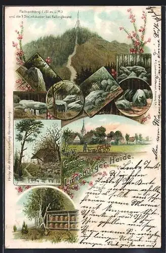 Lithographie Bergen / Lüneburger Heide, Imkerei, Falkenberg und die 7 Steinhäuser bei Fallingbostel