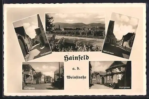 AK Hainfeld a. d. Weinstrasse, Weinstrasse, Hohlgassen-Ansichten, Panorama von der Landstrasse aus