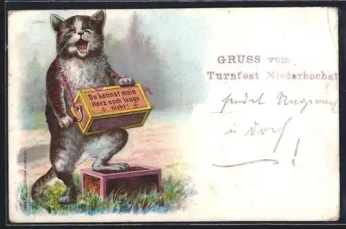 AK Kleine Katze spielt einen Leierkasten