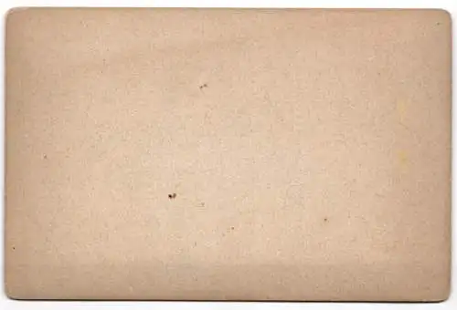 Fotografie Edm. von König, Heidelberg, Ansicht Neckarsteinach, Ortsansicht mit Uferpartie am Neckar 1883