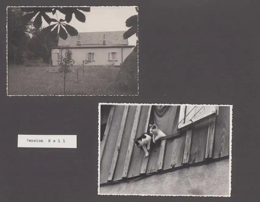 Fotoalbum mit 104 Fotografien, Auto Moskwitsch 402 Blauer Junge, DDR Bürger auf Reisen mit Auto, FKK, Fahrrad 26