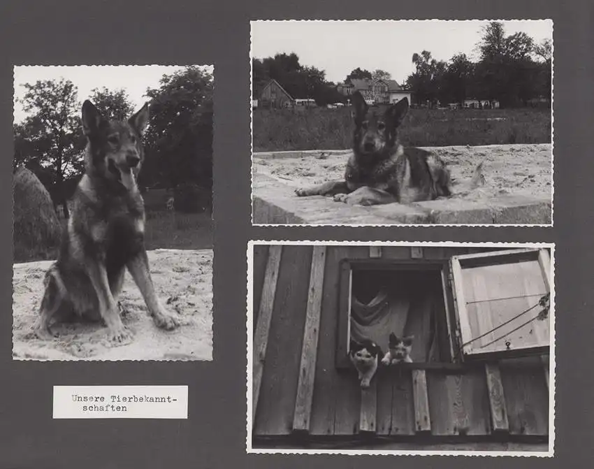 Fotoalbum mit 104 Fotografien, Auto Moskwitsch 402 Blauer Junge, DDR Bürger auf Reisen mit Auto, FKK, Fahrrad 27